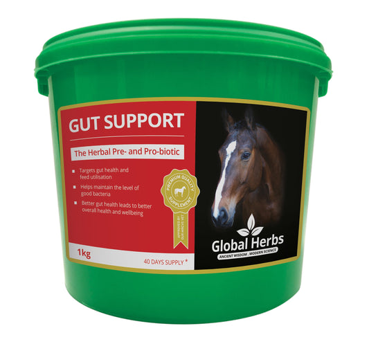 Gut support - Global Herbs