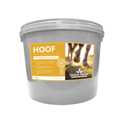 Hoof - Global Herbs