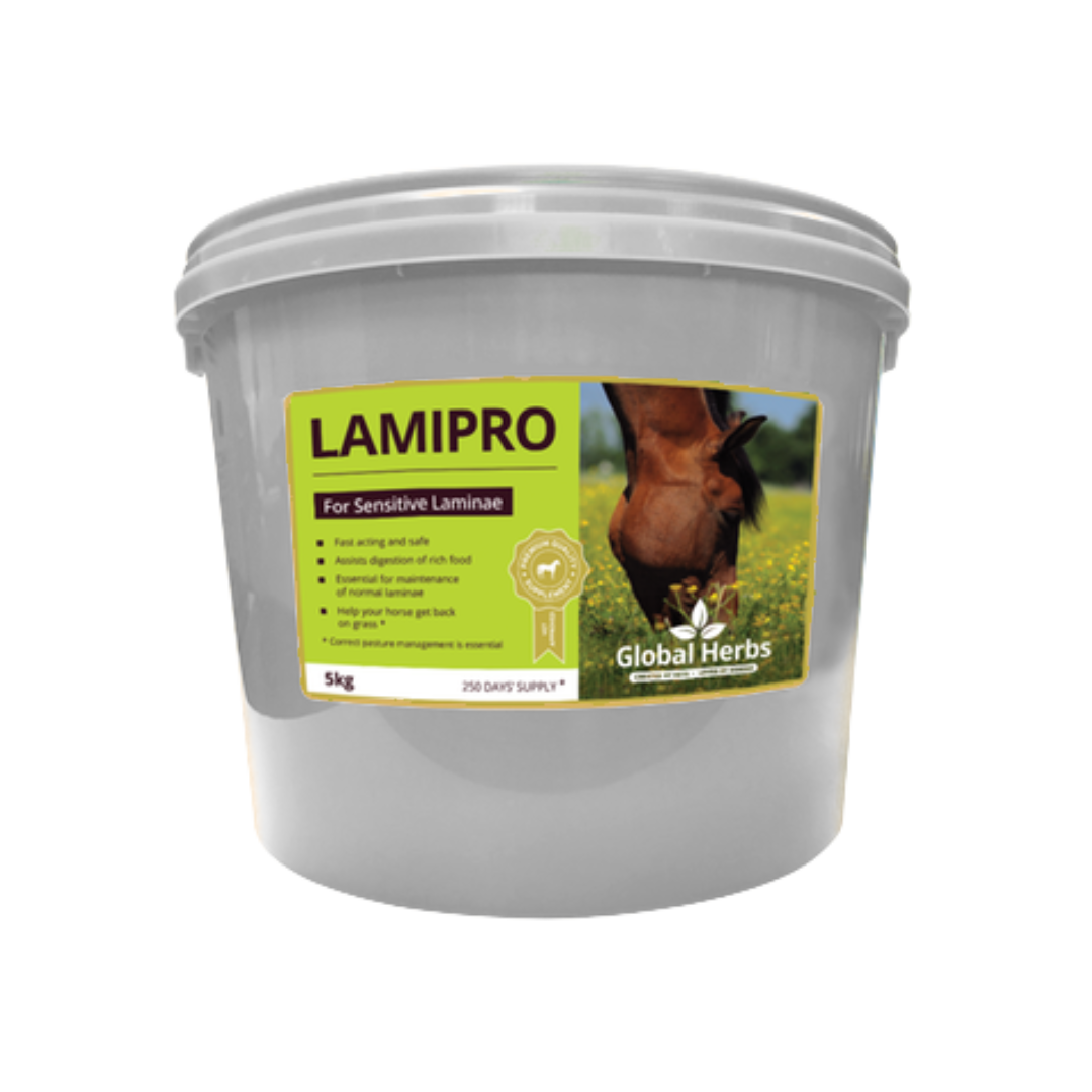 LamiPro - Global Herbs