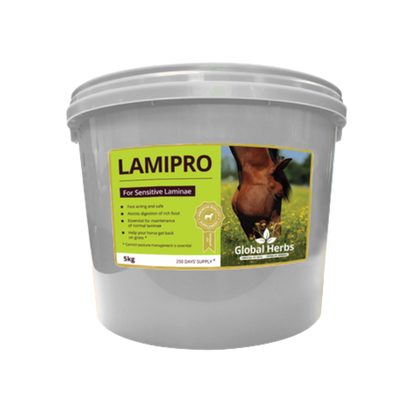 LamiPro - Global Herbs